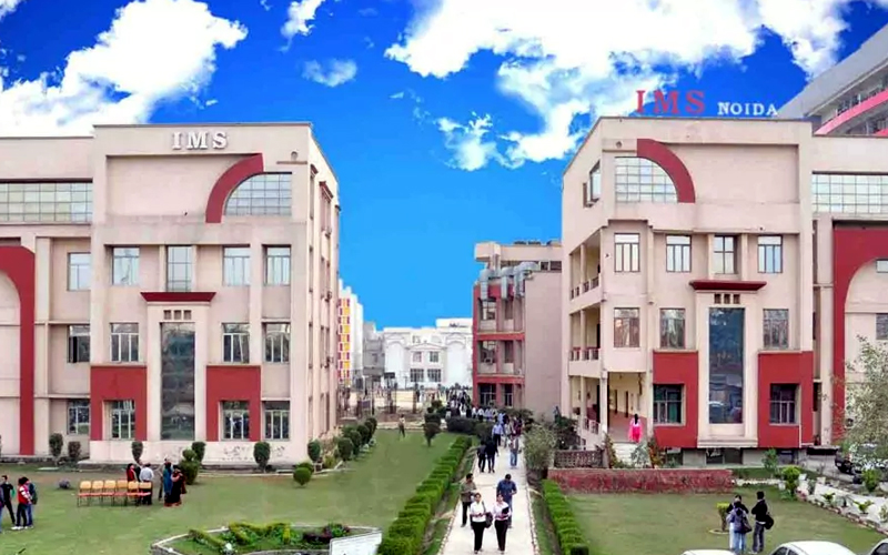 Institute of management studies