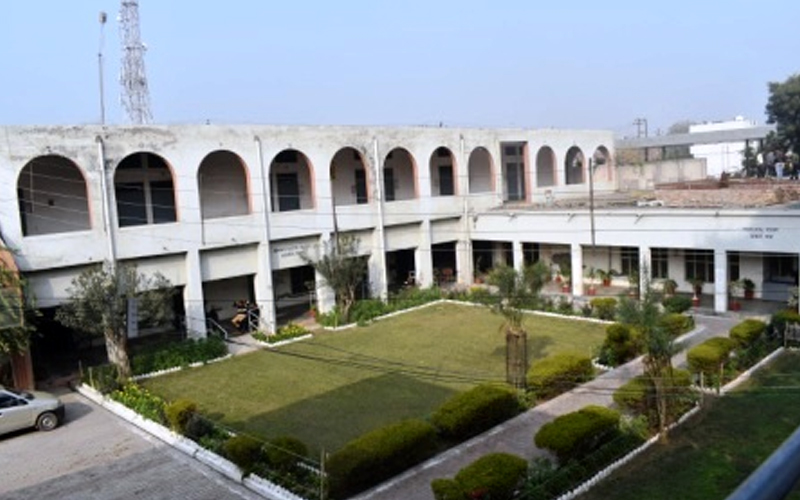 I p college