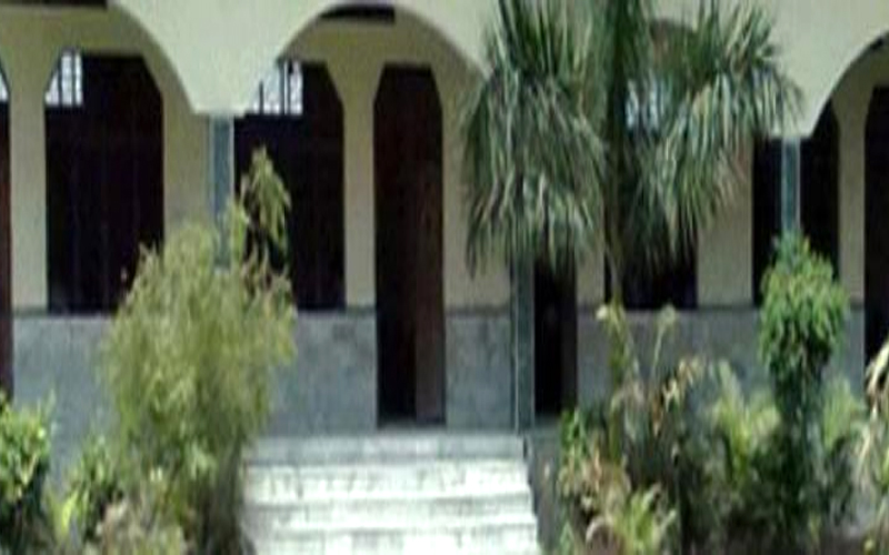 Institute of management and information