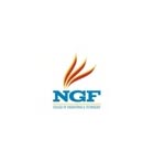 NGF College of Engineering and Technology in Faridabad