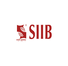 Symbiosis Institute of International Business in Pune